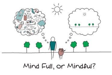 Mind full of mindful?